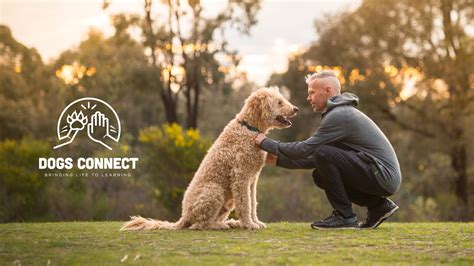 Dog rescue uses the outdoors to connect pups with people